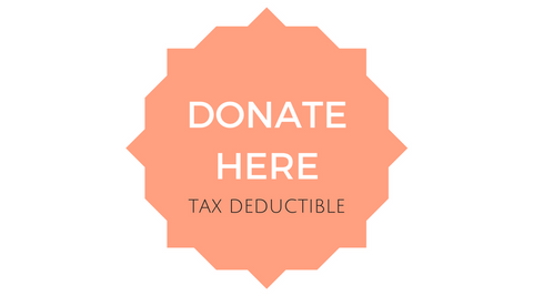 $100 Latin America Tour Donation