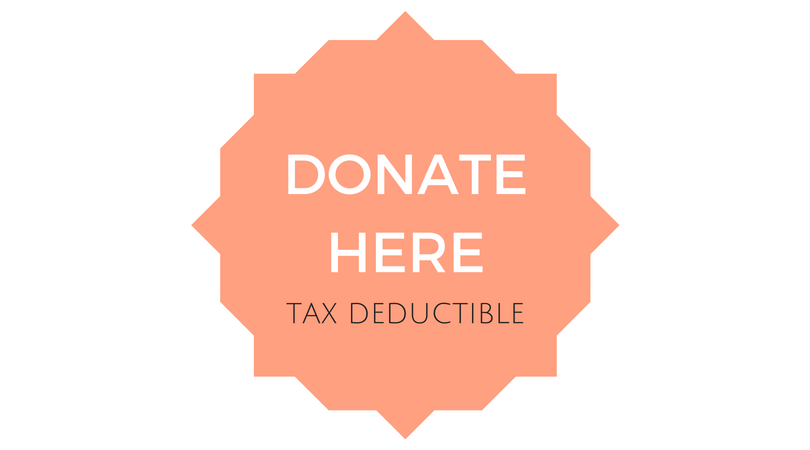 $500 Latin America Tour Donation